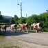 E COMME EVOSGES (2) - AIN - FR