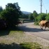 E COMME EVOSGES (2) - AIN - FR