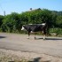 E COMME EVOSGES (2) - AIN - FR