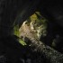 C COMME GROTTE DE CERDON (2) -