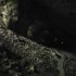 C COMME GROTTE DE CERDON (2) -