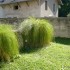 A COMME AIGNOZ - AIN - FRANCE