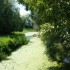 P COMME PONT DE VAUX - AIN - F