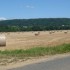 N COMME NIVOLLET MONGRIFFON - 