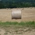 N COMME NIVOLLET MONGRIFFON - 