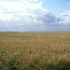 C COMME CHEMIN DES DAMES - AIS