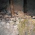 D COMME CAVERNE DU DRAGON - AI