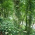 M COMME MARLE (2) - AISNE - FR
