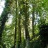 M COMME MARLE (2) - AISNE - FR
