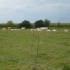 M COMME MARLE (2) - AISNE - FR