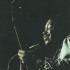 MIGHTY JOE YOUNG