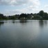 T COMME THEIL (2) - ALLIER - F