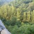 T COMME THEIL (2) - ALLIER - F