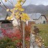 M COMME MEYRONNES - ALPES DE H