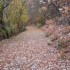 T COMME FORT DE TOURNOUX - ALP