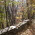 T COMME FORT DE TOURNOUX (2) -