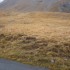 C COMME COL DE LA CAYOLLE - AL