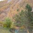 C COMME COL DE LA CAYOLLE - AL