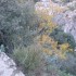 H COMME GORGES D'HERIC - HERAU
