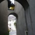 F COMME FRAISSE SUR AGOUT (2) 