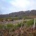 S COMME SAINT PONS DE THOMIERE