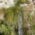 S COMME SAINT GUILHEM LE DÉSE