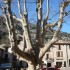 S COMME SAINT GUILHEM LE DÉSE