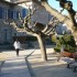 S COMME SAINT JEAN DU GARD - G