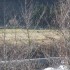 S COMME SAINT JEAN DU GARD (3)
