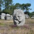 A LA RECHERCHE DE MERLIN (2)..