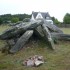 A LA RECHERCHE DE MERLIN (2)..