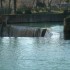 S COMME SAUVE (3) - GARD - FRA