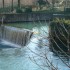 S COMME SAUVE (3) - GARD - FRA