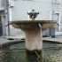 S COMME SAINT HIPPOLYTE DU FOR