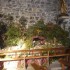 S COMME SAINT HIPPOLYTE DU FOR
