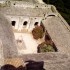 M COMME ABBAYE DE MONTMAJOUR (