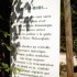 E COMME EYGALIERES - B du R - 