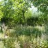 E COMME EYGALIERES - B du R - 