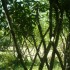 E COMME EYGALIERES - B du R - 