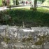 SUR LES TRACES DU PETIT PEUPLE