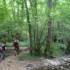 SUR LES TRACES DU PETIT PEUPLE
