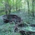 SUR LES TRACES DU PETIT PEUPLE