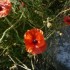 E COMME EYGALIERES (3) - B du 