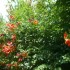 E COMME EYGALIERES (3) - B du 
