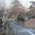 B COMME BEAUMES DE VENISE - VA