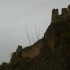 B COMME BEAUMES DE VENISE (3) 