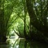 LE MARAIS POITEVIN
