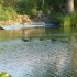LE MARAIS POITEVIN
