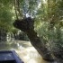 LE MARAIS POITEVIN (2)