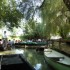 LE MARAIS POITEVIN (2)